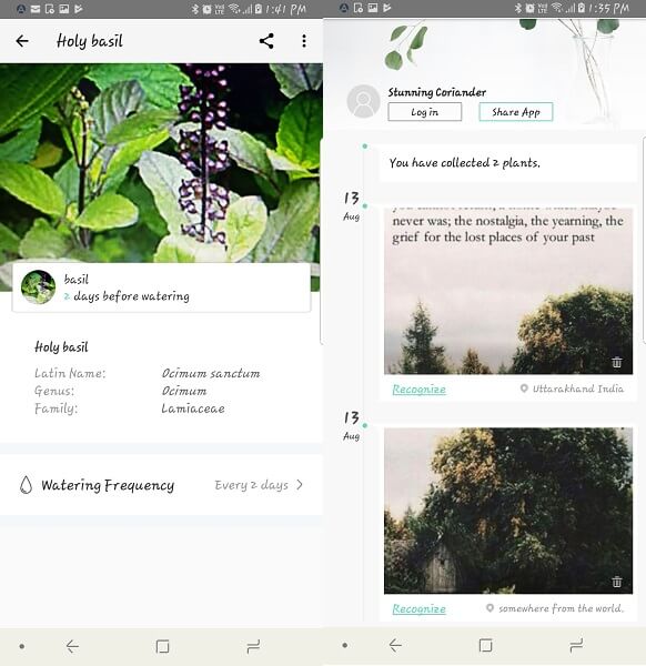 picturethis - identify plants while on hike