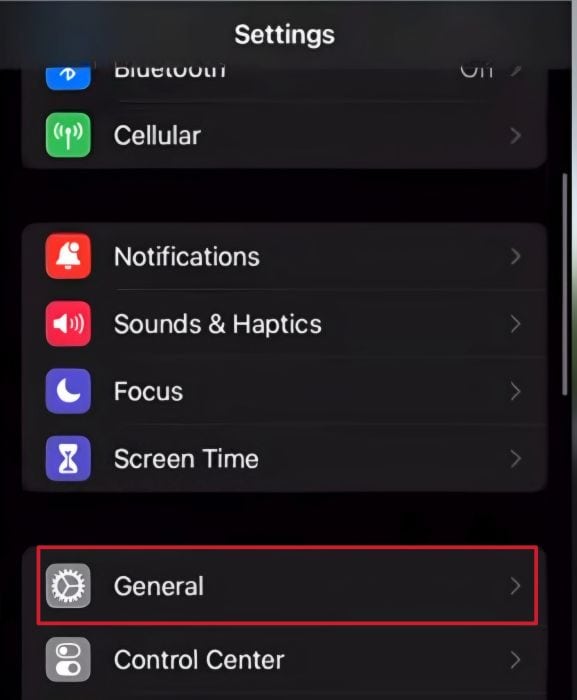 General option in the iPhone settings
