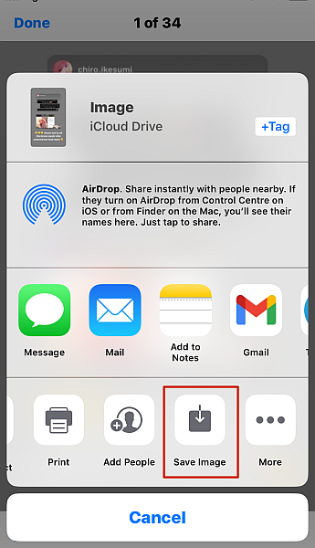 Iphone Share image options with Save image option highlighted