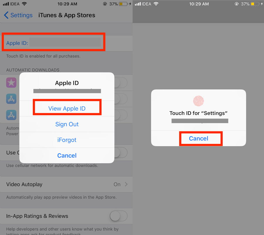 App Store and iTunes Purchase History on iPhone or iPad