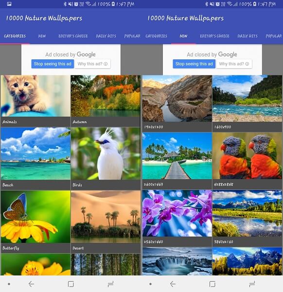 7 Best Apps For Nature Lovers To Experience The Wild 2023 - TechUntold