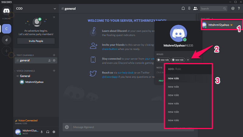 assign roles discord
