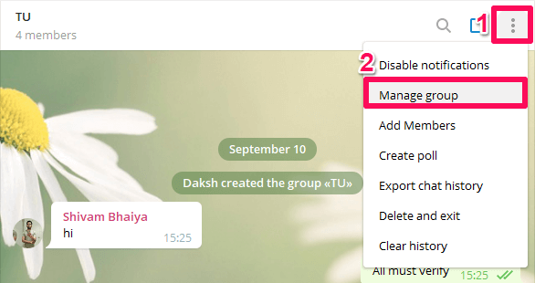 locate messages pinned by you in group