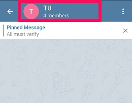 restrict members from pinning message