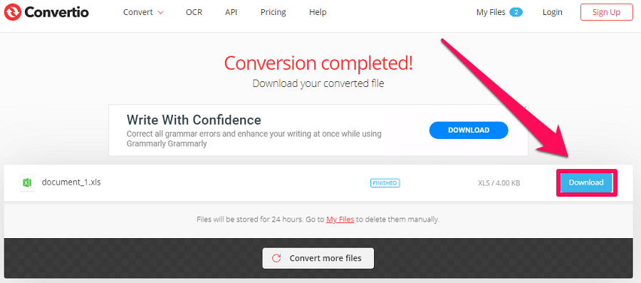 download the converted file