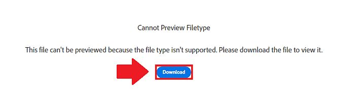 Downloading Converted File