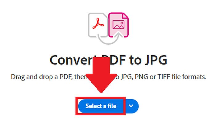 Selecting a PDF File to be converted in Adobe Acrobat