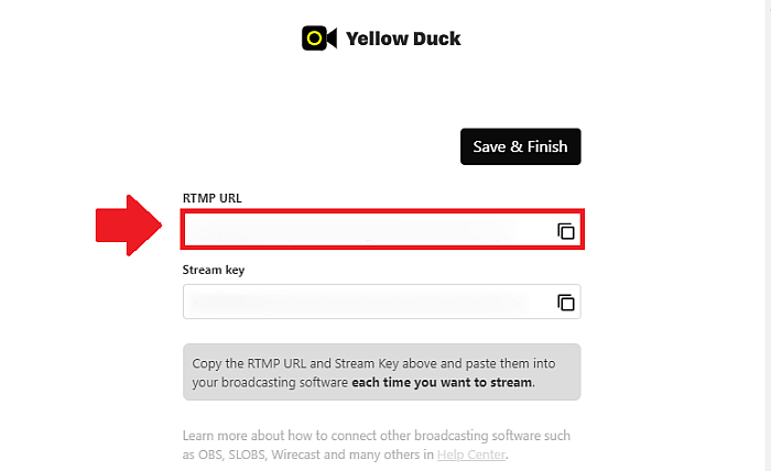 Yellow Duck copy RTMP