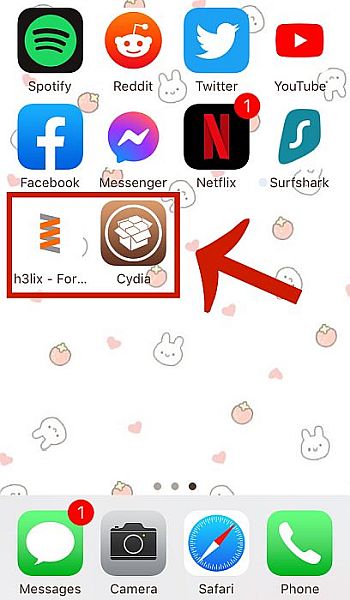 iPhone Home Screen Shwoing Cydia App