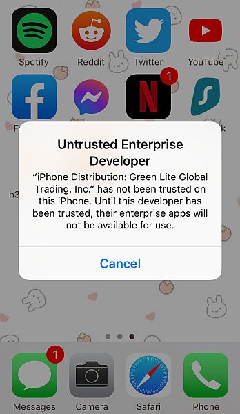 iPhone Untrusted Enterprise Developer pop up warning