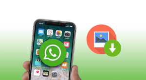 How To Save WhatsApp Photos On Android In Two Ways Plus Troubleshooting