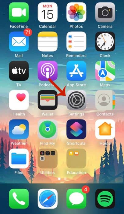 Settings app icon in the app drawer on iPhone