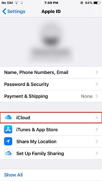 Apple ID settings with the icloud option highlighted