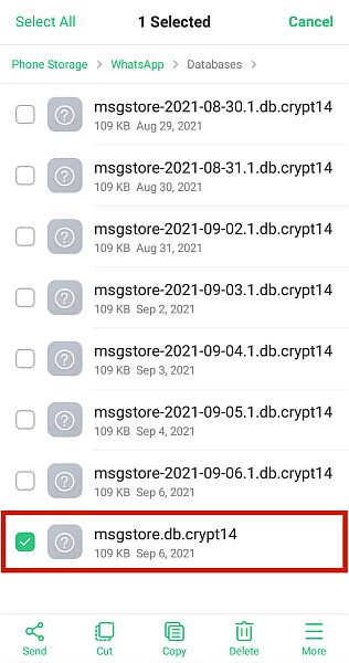 Whatsapp databases folder showing a selected backup file