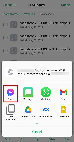 Whatsapp transfer file options with the messenger option highlighted