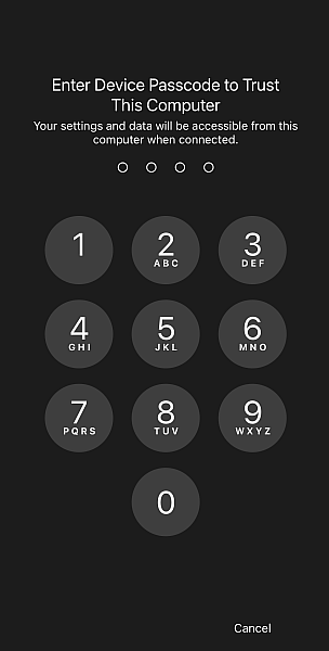Iphone passcode screen