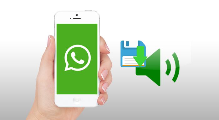 How To Save Audio From WhatsApp Easily On iPhone And Android