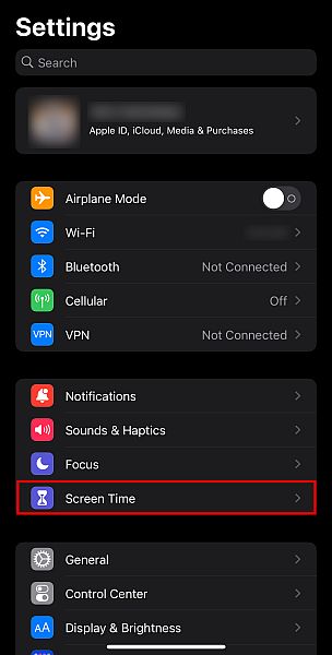 Screen time option inside the settings of an iOS device