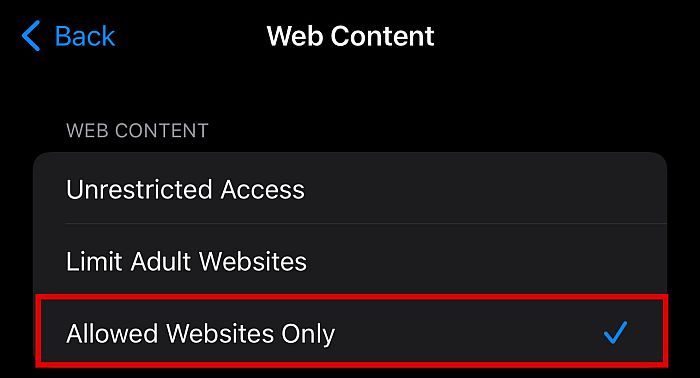 Web content settings in iphone