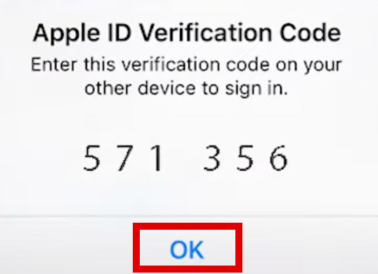 Clicking OK buton to accept verification code received