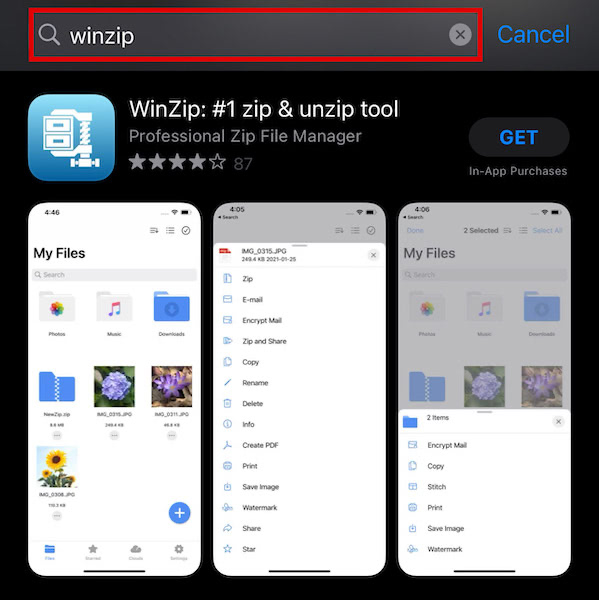 Third party apps like Winzip found in the official App Store
