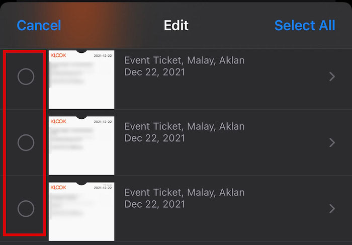 Multiple selection of boarding passes by tapping on the empty circle next to the items