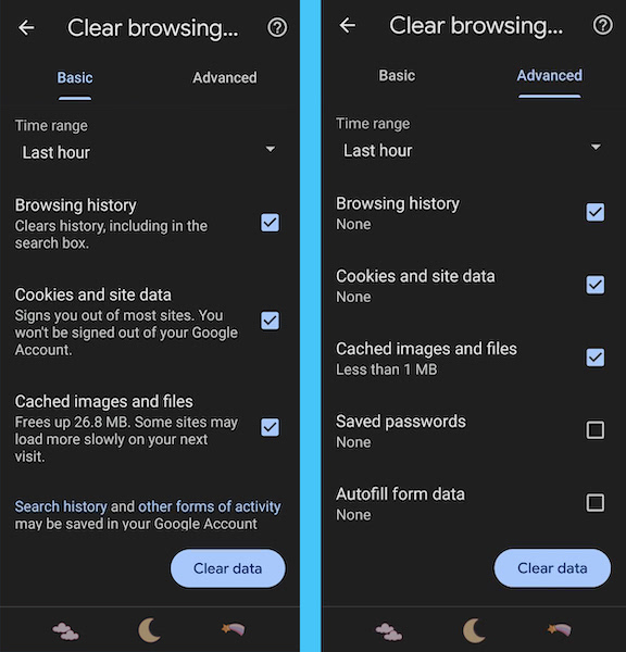 Basic and Advanced screen options in clearing your browsing history