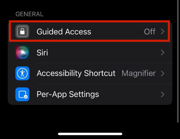 Guided Access option under General