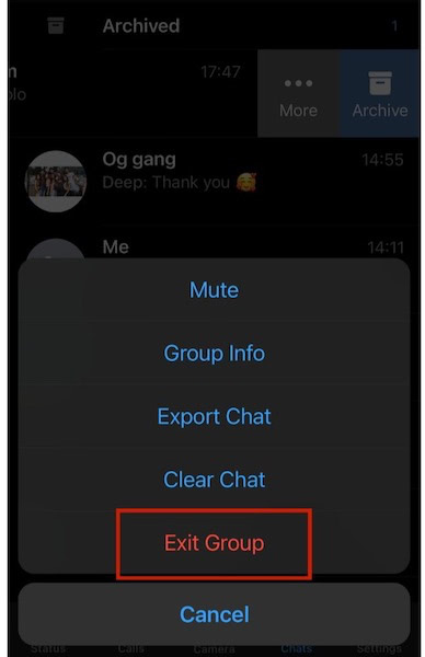 Exit Group button in WhatsApp iPhone
