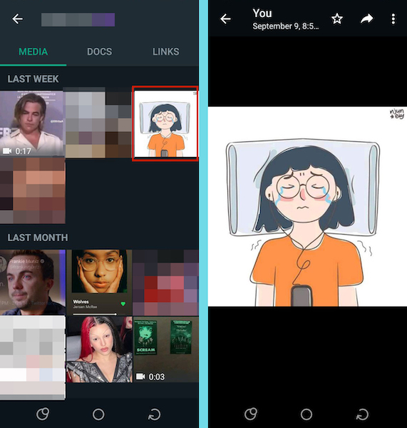Viewing the media in full inside WhatsApp