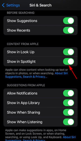 Siri & search show in spotlight toggle button