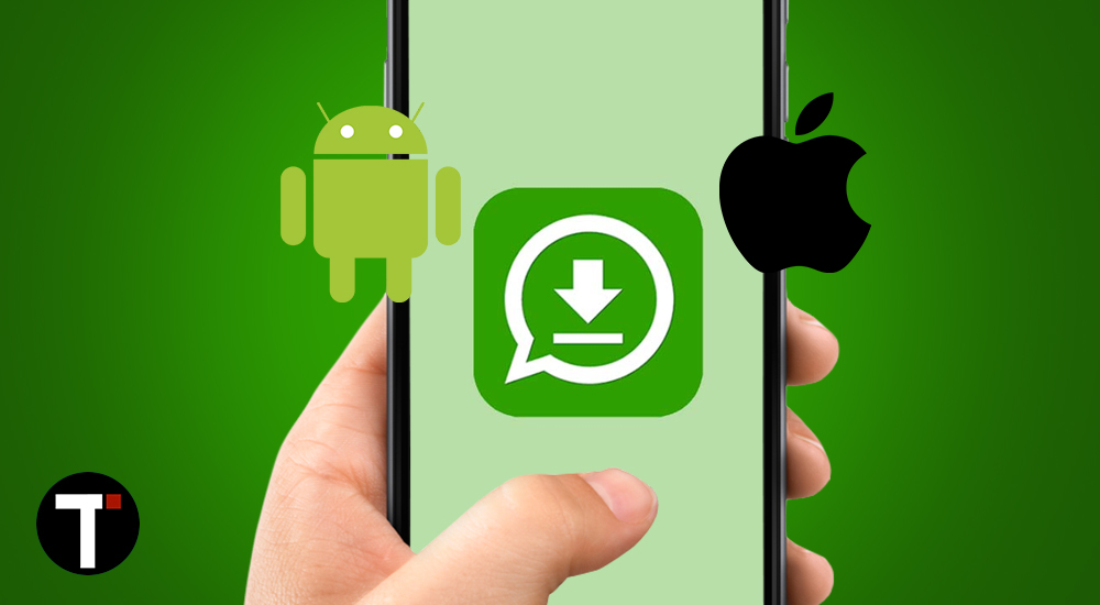 Here’s How To Download WhatsApp Status Video On Your Phone
