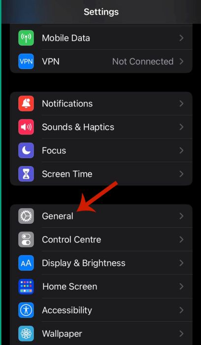 General option in settings on iPhone