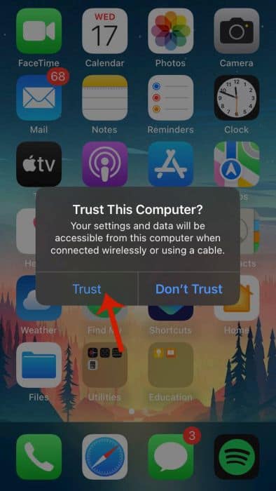 Trust this computer pop up on the iPhone