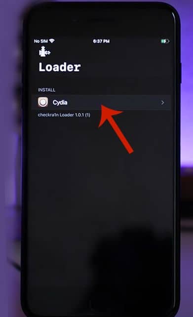 Cydia option inside checkra1n loader app