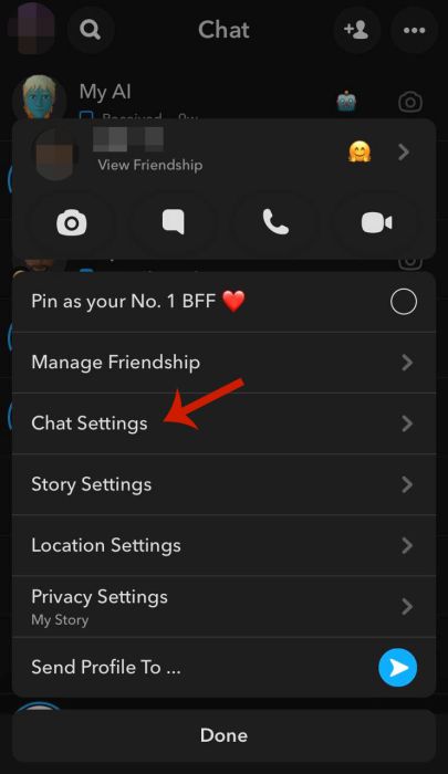 Chat settings option in the menu