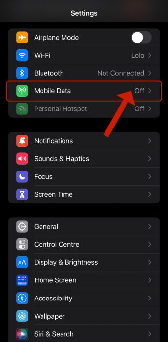 Mobile data option inside iPhone settings