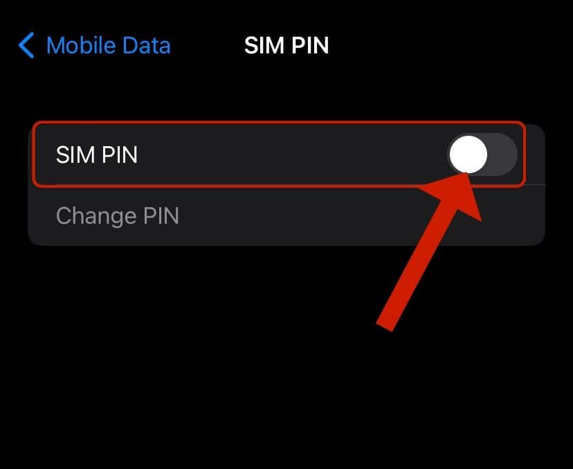 Sim pin toggle option for locking the sim