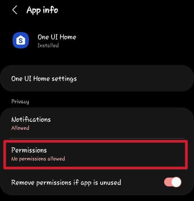 Permissions option for the One UI Home app