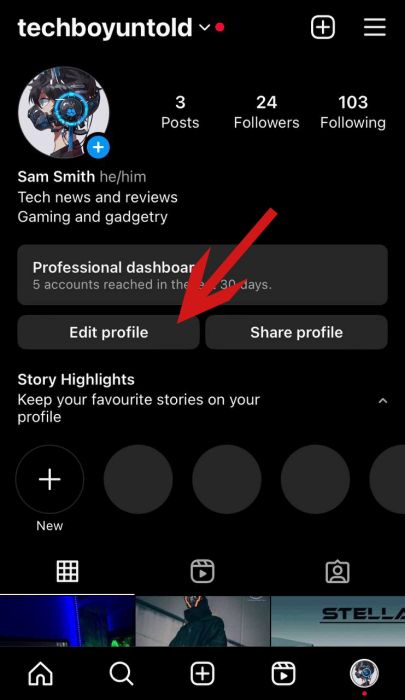 Edit profile button on the Instagram profile