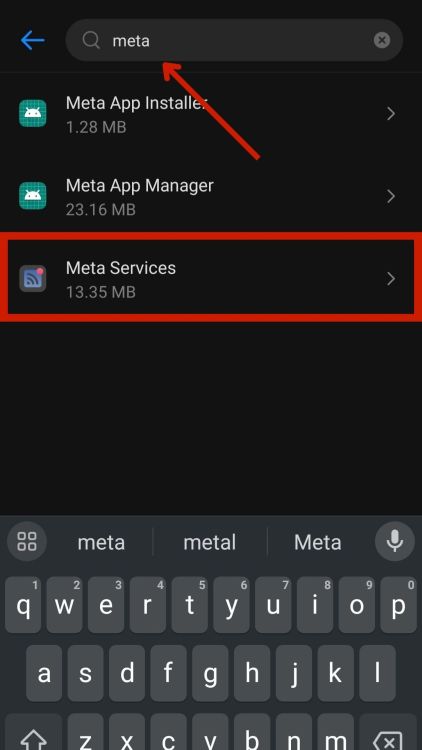 Meta Services app in the search results
